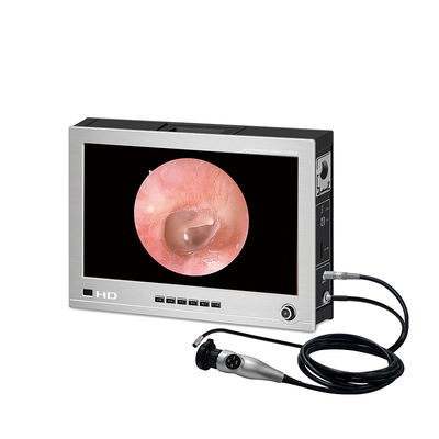 Tıbbi Taşınabilir Endoskop Kamera Sistemi 15&quot; HDMI SYNC