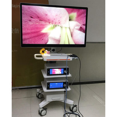 Laparoskopik Cerrahi için Ultra 4K Tıbbi Endoskop Kamera Sistemi Kulesi DEC3840A