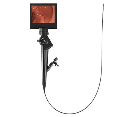Taşınabilir Esnek Veteriner Videoskopu DJV30700 1280 X 800